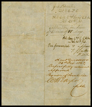 fau_17421-Thumbnail Image.jpg