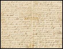 fau_17425-Thumbnail Image.jpg