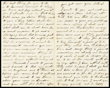 fau_17464-Thumbnail Image.jpg