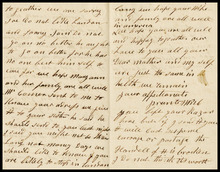 fau_17483-Thumbnail Image.jpg