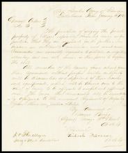 fau_17536-Thumbnail Image.jpg