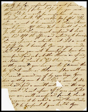 fau_17606-Thumbnail Image.jpg