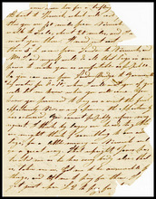 fau_17609-Thumbnail Image.jpg