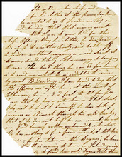 fau_17612-Thumbnail Image.jpg