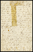 fau_17615-Thumbnail Image.jpg