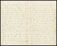 fau_17628-Thumbnail Image.jpg