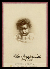 fau_17649-Thumbnail Image.jpg