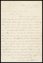 fau_17665-Thumbnail Image.jpg