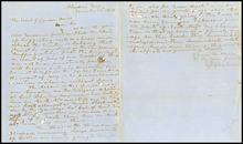 fau_17678-Thumbnail Image.jpg