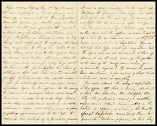 fau_17684-Thumbnail Image.jpg