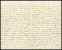 fau_17697-Thumbnail Image.jpg