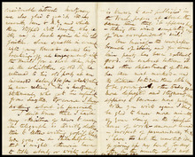 fau_17715-Thumbnail Image.jpg