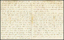 fau_17808-Thumbnail Image.jpg