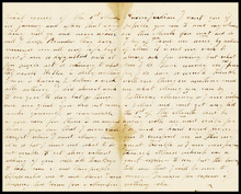 fau_17814-Thumbnail Image.jpg