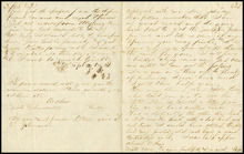 fau_17918-Thumbnail Image.jpg