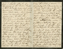 fau_17956-Thumbnail Image.jpg