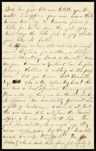 fau_18011-Thumbnail Image.jpg