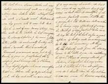 fau_18018-Thumbnail Image.jpg