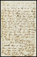 fau_18025-Thumbnail Image.jpg