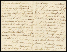 fau_18035-Thumbnail Image.jpg