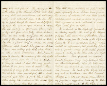 fau_18093-Thumbnail Image.jpg