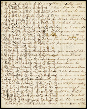 fau_18097-Thumbnail Image.jpg