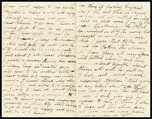 fau_18138-Thumbnail Image.jpg