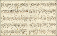 fau_18168-Thumbnail Image.jpg