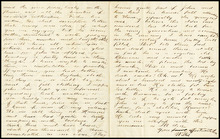 fau_18199-Thumbnail Image.jpg