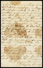 fau_18217-Thumbnail Image.jpg