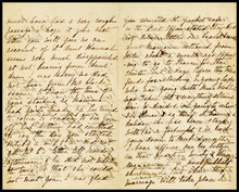 fau_18243-Thumbnail Image.jpg