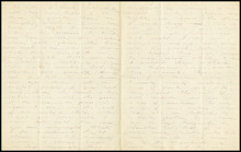 fau_18271-Thumbnail Image.jpg