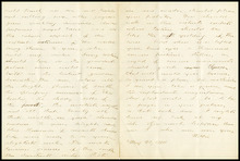 fau_18287-Thumbnail Image.jpg