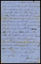 fau_18337-Thumbnail Image.jpg