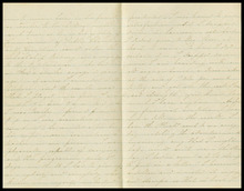 fau_18346-Thumbnail Image.jpg