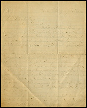 fau_18355-Thumbnail Image.jpg