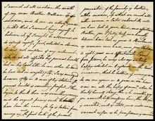 fau_18358-Thumbnail Image.jpg