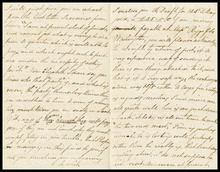 fau_18376-Thumbnail Image.jpg