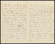 fau_18532-Thumbnail Image.jpg