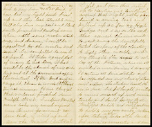 fau_18552-Thumbnail Image.jpg