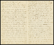 fau_18569-Thumbnail Image.jpg