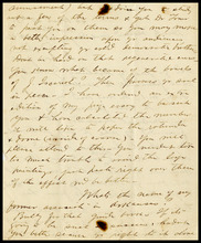 fau_18608-Thumbnail Image.jpg