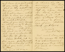 fau_18665-Thumbnail Image.jpg