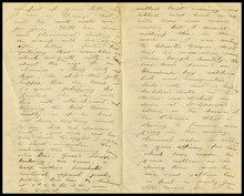 fau_18733-Thumbnail Image.jpg