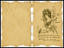 fau_18771-Thumbnail Image.jpg