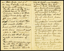 fau_18810-Thumbnail Image.jpg