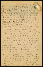 fau_18897-Thumbnail Image.jpg