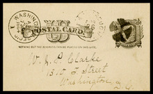 fau_19020-Thumbnail Image.jpg