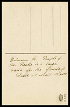 fau_19036-Thumbnail Image.jpg