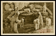 fau_19042-Thumbnail Image.jpg